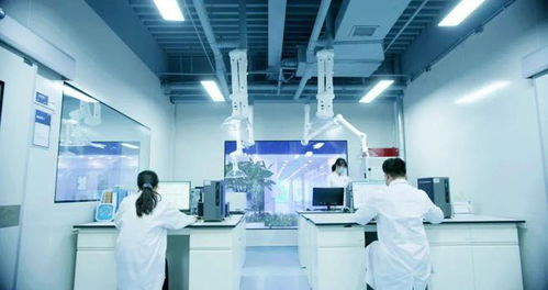 信息技術(shù)咨詢服務(wù)助力企業(yè)應(yīng)對阿斯巴甜2B類致癌物新規(guī)