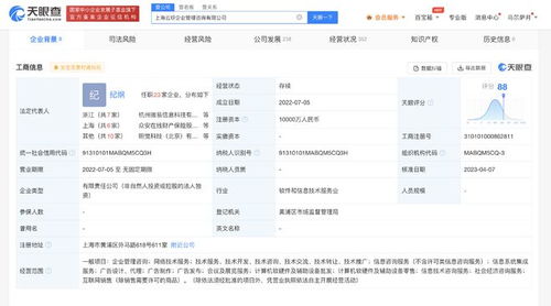 螞蟻集團子公司資本激增9900%，加速布局信息系統集成服務