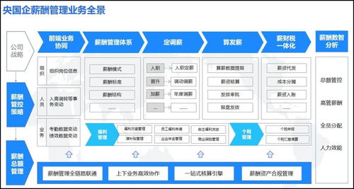 奮戰(zhàn)930 中央企業(yè)沖刺薪酬管理系統(tǒng)建設(shè)，以“三全”目標(biāo)引領(lǐng)市場(chǎng)新篇章
